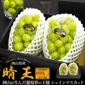 岡山県産 シャインマスカット 晴王 2房 約700g×2個 最高ランク 国産