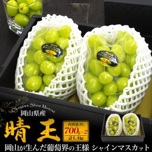 岡山県産 シャインマスカット 晴王 2房セット 約800g×2個 計1.6kg 国産