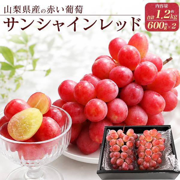 山梨県産 ぶどう サンシャインレッド 種なし 葡萄 2房セット 約600g×2個 国産 果物 フルー...