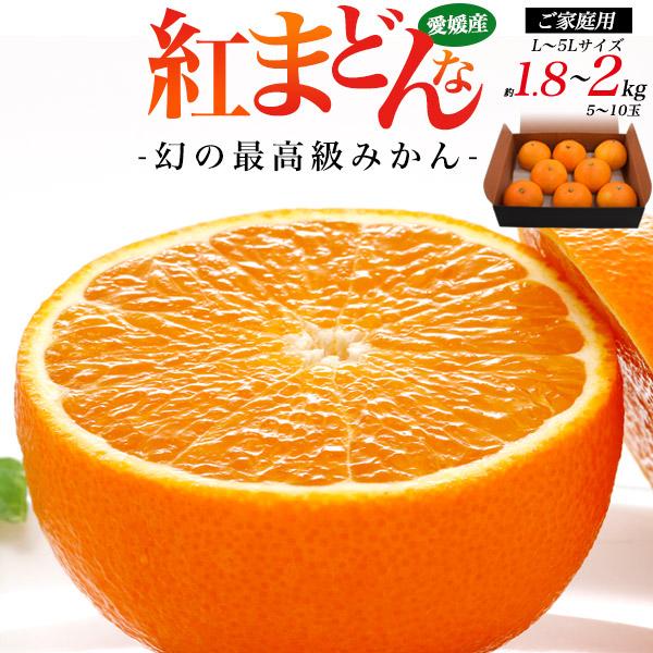 訳あり 紅まどんな 愛媛県産 みかん L〜5Lサイズ 約1.8〜2kg 5〜10玉入り 家庭用 紅マ...