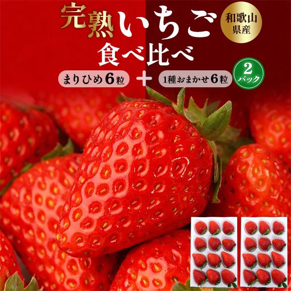 2箱セット 和歌山県産 苺 完熟いちご 食べ比べ 12粒×2パック入り まりひめ + 1種 品種おま...