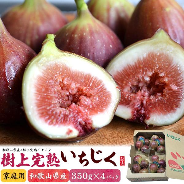 和歌山県産 季節の恵み 樹上完熟 いちじく 約350g×4パック  国産 果物 フルーツ イチジク ...
