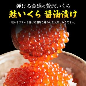 鮭いくら 醤油漬け チャム イクラ 約60g×...の詳細画像1