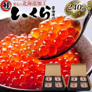 鮭いくら 醤油漬け チャム イクラ 約60g×8パック 北海道加工 いくら醤油漬け 高級食材 海鮮 正月 おせち料理 御祝 いくら丼 寿司 黒箱入り 熨斗対応可能 冷凍便
