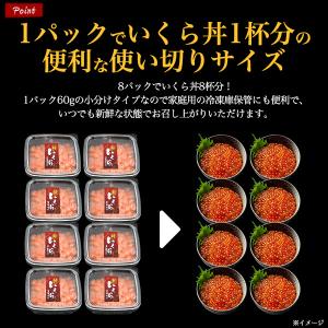 鮭いくら 醤油漬け チャム イクラ 約60g×...の詳細画像2