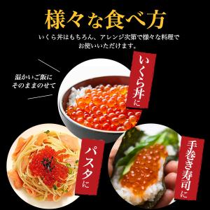 鮭いくら 醤油漬け チャム イクラ 約60g×...の詳細画像4