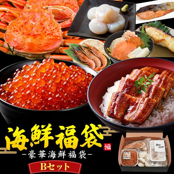 福袋 海鮮 豪華海の幸 詰め合わせ Bセット セコガニ いくら 鰻 帆立 蟹 海老 うなぎ 焼魚 切...