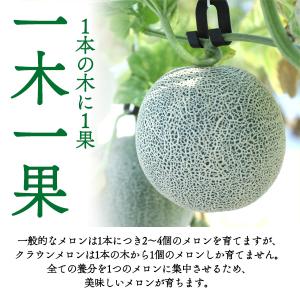 訳あり 静岡県産 クラウンメロン 2〜4玉 約...の詳細画像4
