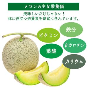 訳あり 静岡県産 クラウンメロン 2〜4玉 約...の詳細画像5