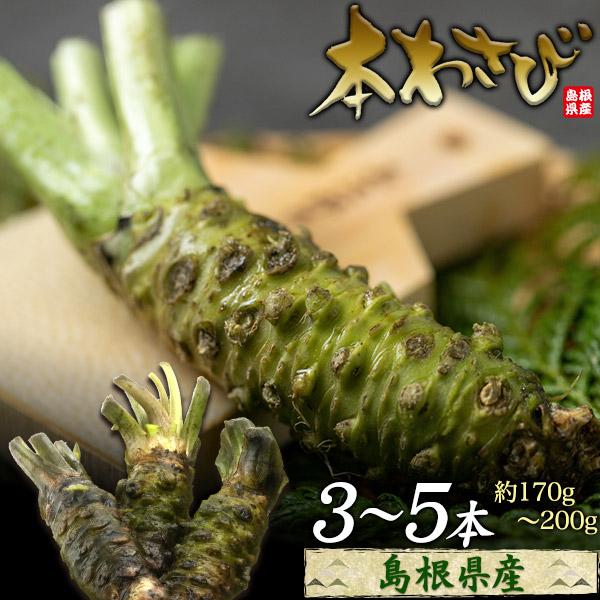島根県産 本わさび 3〜5本セット 合計約170〜200g 国産 ワサビ 香味野菜 薬味 季節の食材...