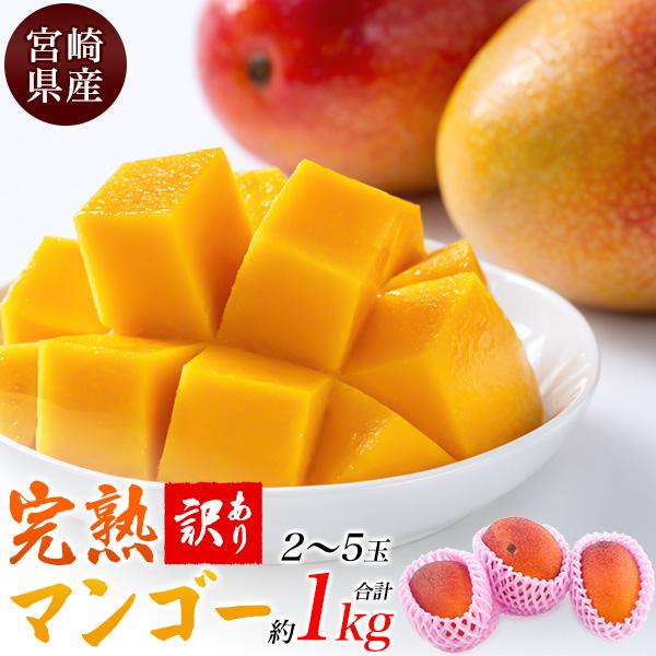 訳あり 宮崎県産 マンゴー 2〜5玉入り 合計約1kg 国産 完熟 マンゴー トロピカルフルーツ 果...