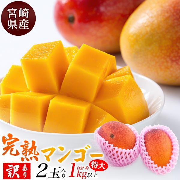訳あり 宮崎県産 マンゴー 4Lサイズ 2玉入り 約1kg以上 国産 完熟 マンゴー 特大 トロピカ...