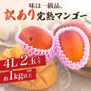 訳あり 宮崎県産 マンゴー 4Lサイズ 2玉入...の詳細画像1