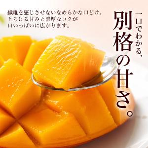 宮崎県産 マンゴー 特大 4Lサイズ(約500...の詳細画像4
