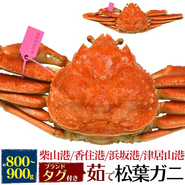 兵庫県産 松葉蟹 茹で ボイル 松葉ガニ 1杯 800g〜900g ブランドタグ付き 国産 ゆでカニ...