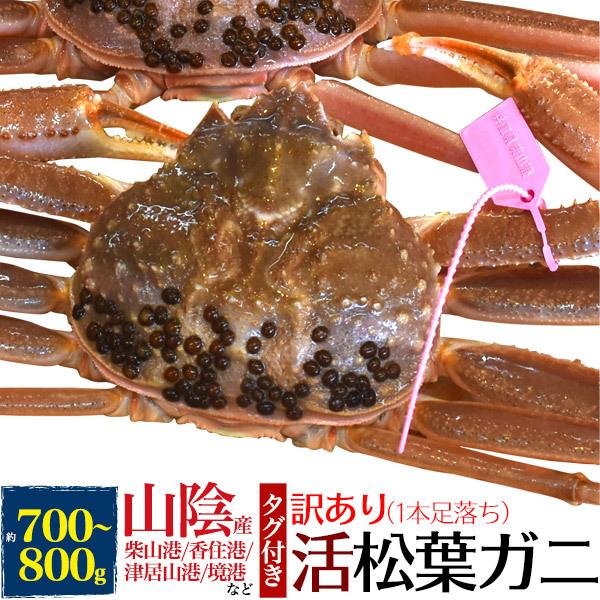 訳あり 足取れ 生 松葉ガニ 活き 1杯 (700g〜800g)  兵庫県産 ブランドタグ付き 極上...