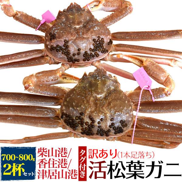 2杯組 訳あり 足取れ 生 松葉ガニ 活き  (700g〜800g×2匹) 兵庫県産 ブランドタグ付...