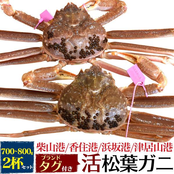 2杯組 国産 生 松葉ガニ 活き  (700g〜800gx2匹)  兵庫県産 ブランドタグ付き 極上...