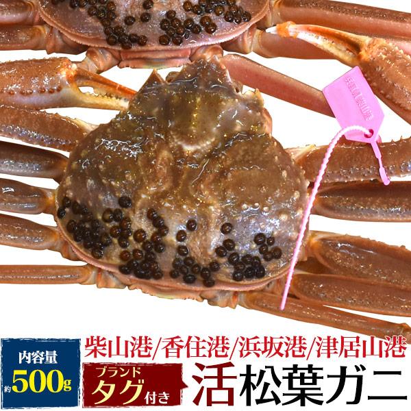 国産 生 松葉ガニ 活き 1杯 (約500g)  兵庫県産 ブランドタグ付き 極上 生姿 活蟹 松葉...