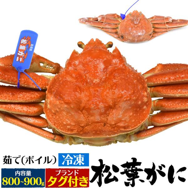茹で 冷凍 松葉ガニ 1杯 800g〜900g  ブランドタグ付き 境港水揚げ ボイル済  松葉蟹 ...