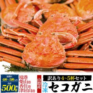 カニ セコガニ 冷凍 訳あり 4~5杯セット 計500g 松葉ガニ