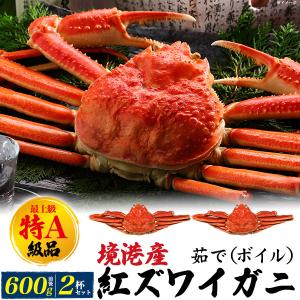 2杯組 蟹 茹で ボイル 紅ズワイガニ 最上級 特A級品 2杯 600g前後×2匹 紅ずわい蟹 ボイルカニ ズワイカニ 国産 姿 鮮魚 日本海産 未冷凍 境港直送 冷蔵便配送