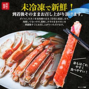 2杯組 蟹 茹で ボイル 紅ズワイガニ 最上級...の詳細画像4