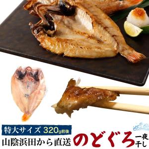 国産 のどぐろ 干物 一夜干し (約320g 1枚)  特大 国産 山陰浜田 産地直送 ノドグロ セット 鮮魚 高級食材 お取り寄せグルメ 熨斗対応可 冷凍クール便配送｜tabemore