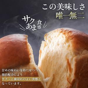 食パン プレミアムブリオッシュブレッド 10枚...の詳細画像1