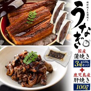 国産うなぎ 蒲焼き 姿 3尾+鹿児島県産 鰻 うなぎ肝焼き 100g お得セット 国産 ウナギ 肝 丼もの 珍味 お惣菜 日本産 お取り寄せ グルメ 真空パック 冷凍便配送｜tabemore