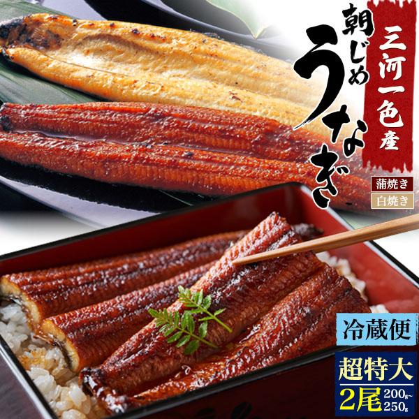 選べる 国産鰻 2尾セット 朝じめ 蒲焼き 白焼き うなぎ 200〜250g 三河一色産 組み合わせ...