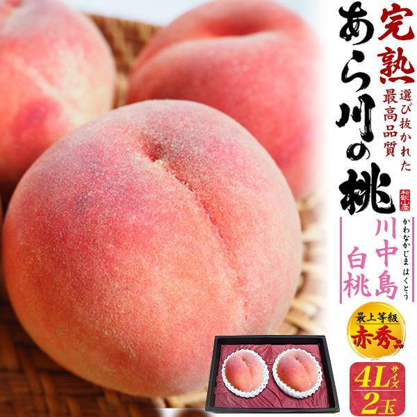 桃 和歌山県産 あら川の桃 川中島白桃 4Lサイズ 2玉入り 最上等級 赤秀品 完熟桃 ブランド果物...
