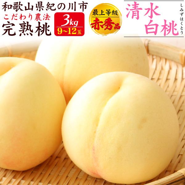 桃 和歌山紀の川市 清水白桃 約3kg 9〜12玉入り 国産 もも 最上等級 赤秀品 完熟桃 ブラン...