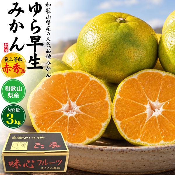 和歌山県産 ゆら早生みかん 最上等級 赤秀品 約3kg 30〜36個入り 国産 高級 みかん ミカン...