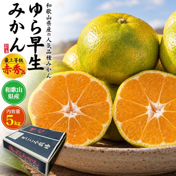 和歌山県産 ゆら早生みかん 最上等級 赤秀品 約5kg 50〜60個入り 国産 高級 みかん ミカン...