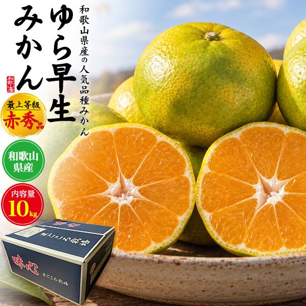 和歌山県産 ゆら早生みかん 最上等級 赤秀品 約10kg 100〜115個入り 国産 高級 みかん ...