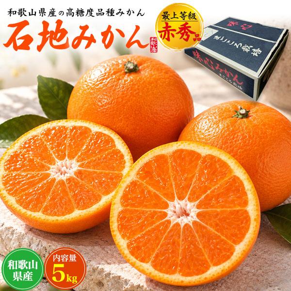 和歌山県産 石地みかん 最上等級 赤秀品 約5kg 50〜60個入り 国産 高級 みかん ミカン 甘...