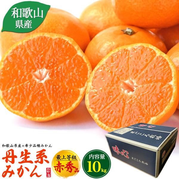 和歌山県産 丹生系みかん 最上等級 赤秀品 約10kg 100〜115個入り 国産 高級 みかん ミ...