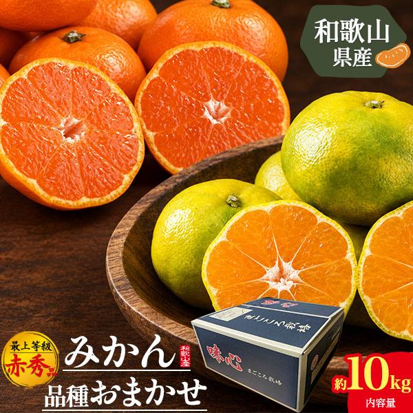 品種おまかせ 和歌山県産 みかん 約10kg 100〜115個入り 最上等級 赤秀品 国産 高級 ミ...