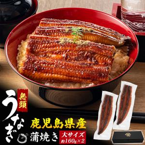 鹿児島産 鰻 無頭うなぎ 蒲焼き 大サイズ 約...の詳細画像1