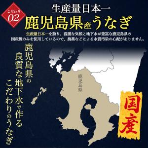 鹿児島産 鰻 無頭うなぎ 蒲焼き 大サイズ 約...の詳細画像3