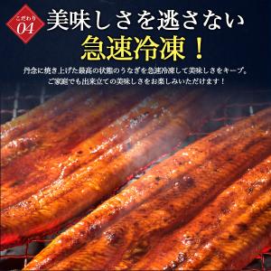 鹿児島産 鰻 無頭うなぎ 蒲焼き 大サイズ 約...の詳細画像5