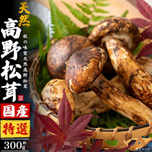 国産 松茸 天然 高野松茸 特選品 約300g 希少 ツボミ 和歌山県橋本市産 国産松茸 まつたけ ...