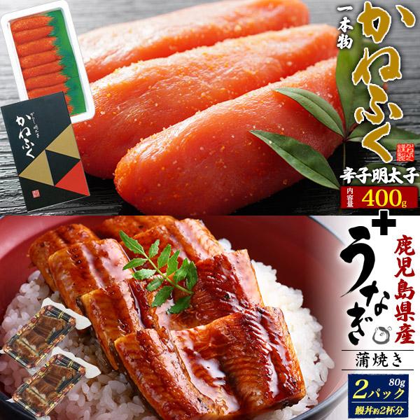 海鮮 豪華詰め合わせセット 辛子明太子 福岡 かねふく 1本物+鹿児島県産 うなぎ蒲焼き 国産 辛子...