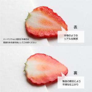 ハーバリウム用 いちご スライス 4枚入 ハー...の詳細画像2