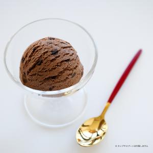 食品サンプル 食べられない アイス バニラ アイスクリーム