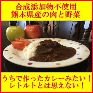 うちのカレー レトルトカレー 高級 手土産 ご当地  無添加 熊本県産豚肉と野菜 ポーク ポイント消化 九州産 お試し2袋セット