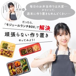 お弁当箱 女子 大人 男子 1段 400ml ...の詳細画像1