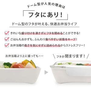 弁当箱 一段 女子 大人 日本製 おしゃれ 保...の詳細画像1