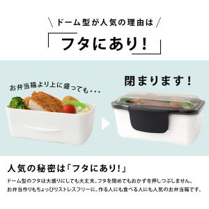 弁当箱 2段 男性 大人 男子 食洗機対応 電...の詳細画像2